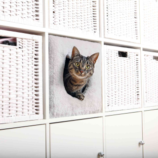TRIXIE Katzenhöhle passend für z.B. IKEA KALLAX, Farbe: grau