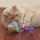 KONG® Cat Occasions Birthday Teddy