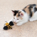 KONG® Cat Better Buzz Bee