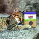 KONG® Naturals Catnip Inhalt: 28 g