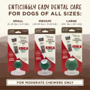 KONG® Enticers/KONG Dental Ball Kit